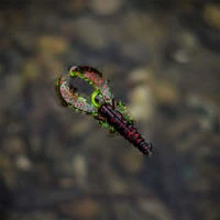 Westin Super Finesse CreCraw Slim Creature Bait Sets 5.5cm/1.5g